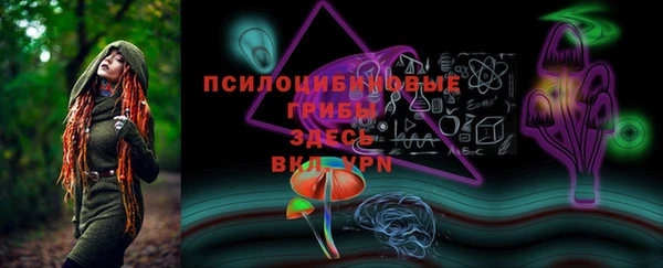 марки lsd Бугульма
