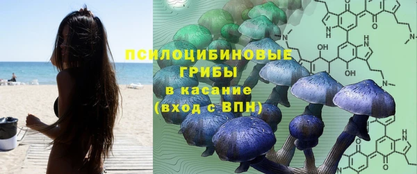 марки lsd Бугульма