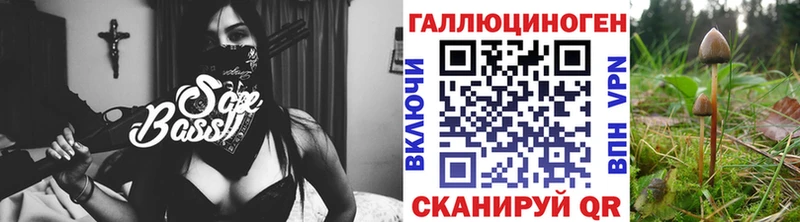 Псилоцибиновые грибы Cubensis Мензелинск